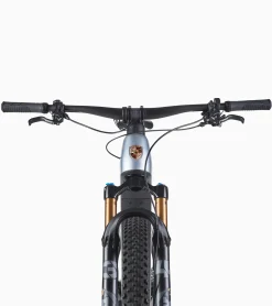 Porsche Ebike Cross Performance