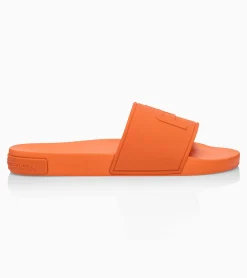 Slides